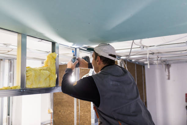 Best Blown-in Insulation  in Fulton, NY