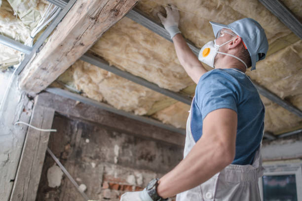 Best Residential Insulation Services  in Fulton, NY
