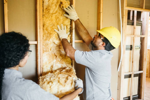 Best Attic Insulation Installation  in Fulton, NY