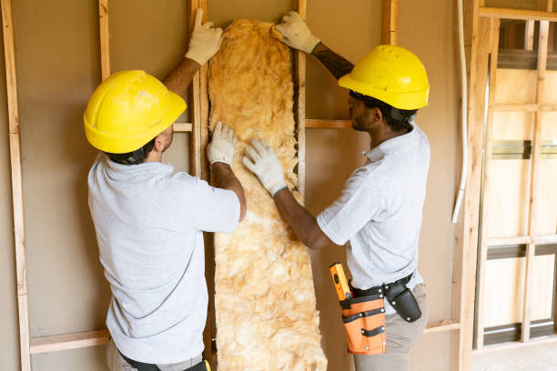 Best Local Insulation Services  in Fulton, NY
