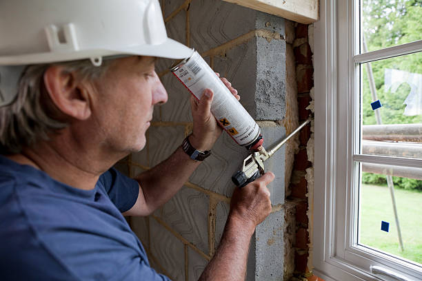 Best Insulation Removal  in Fulton, NY