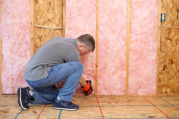 Best Insulation Contractors for Homes  in Fulton, NY