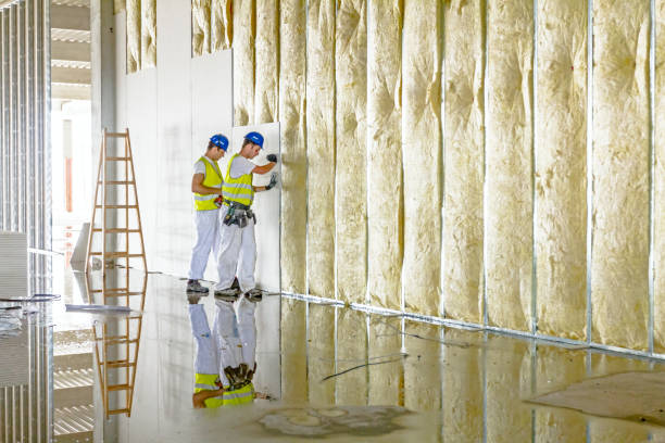 Best Soundproof Insulation Installation  in Fulton, NY